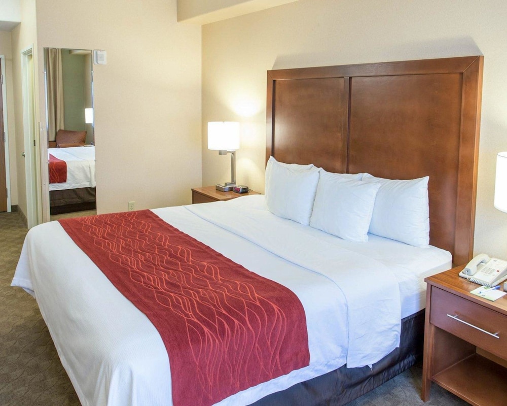 Comfort Inn Fort Morgan 15/43