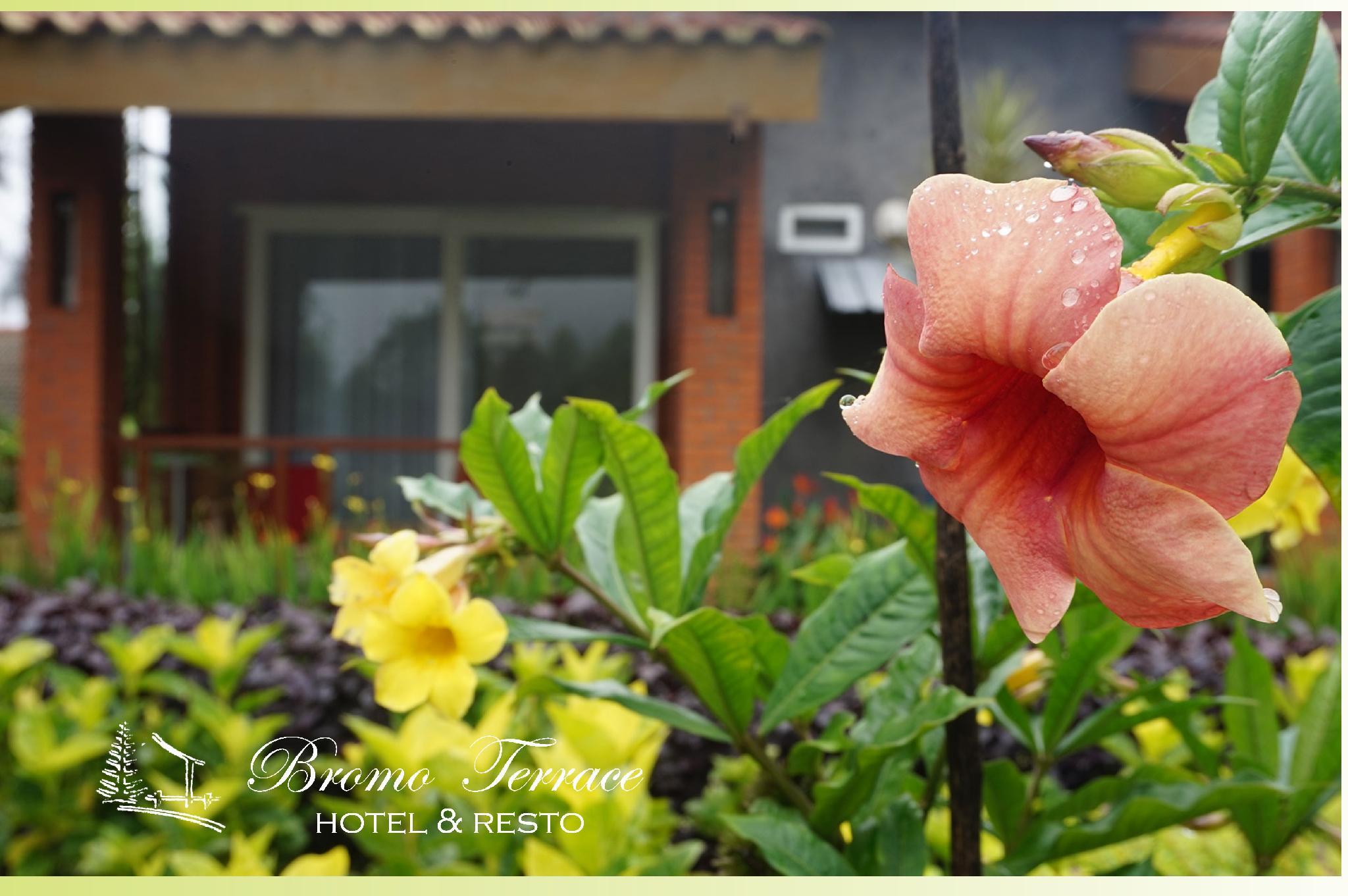 Bromo Terrace Hotel 3/21