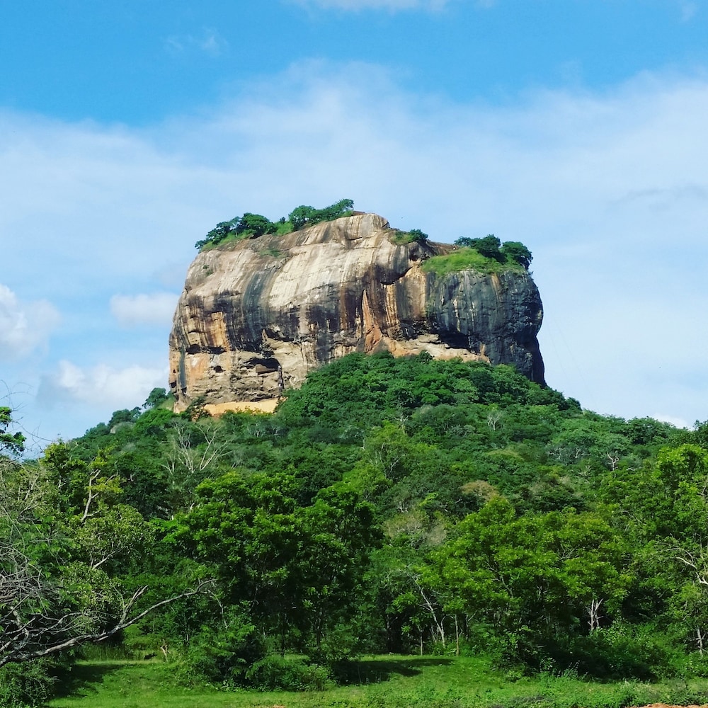 Rho Sigiriya 37/47