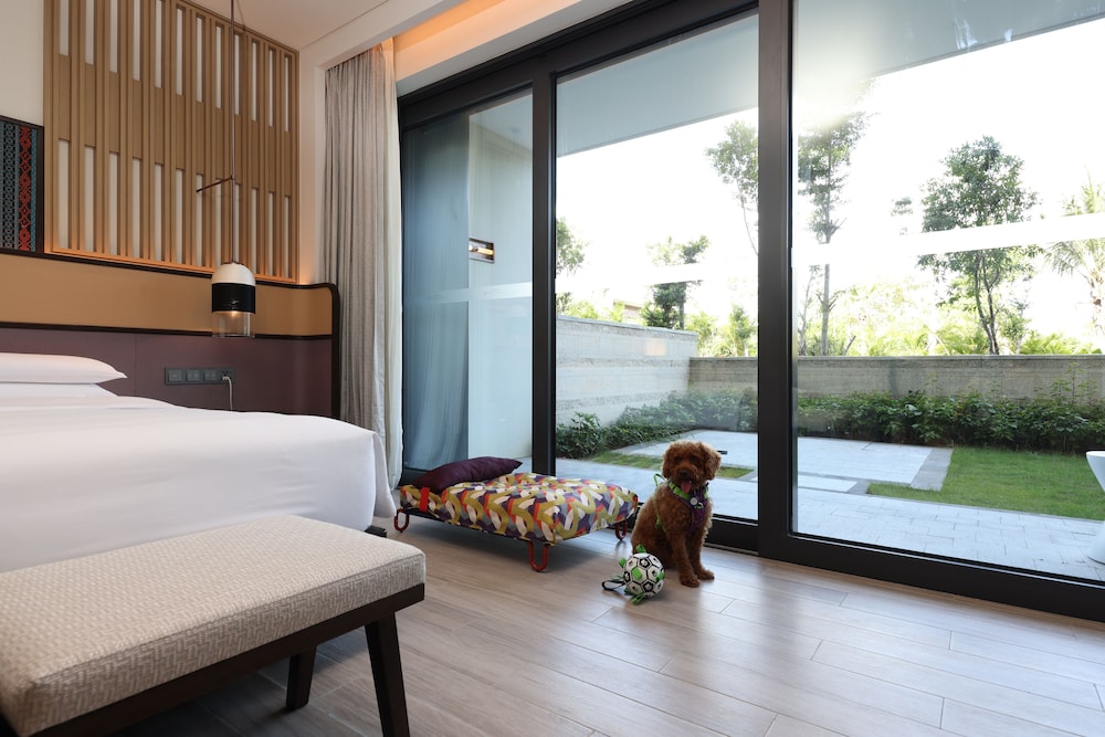 Family Suite, Courtyard, Deluxe, King Bed, Bunk Bed, Pet Friendly