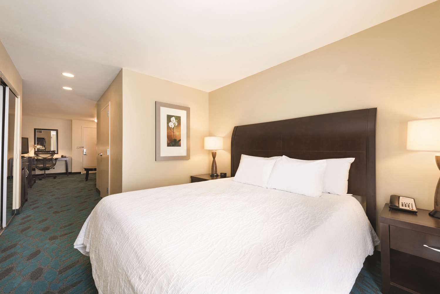 STUDIO, SUITE, KING BED, SOFA