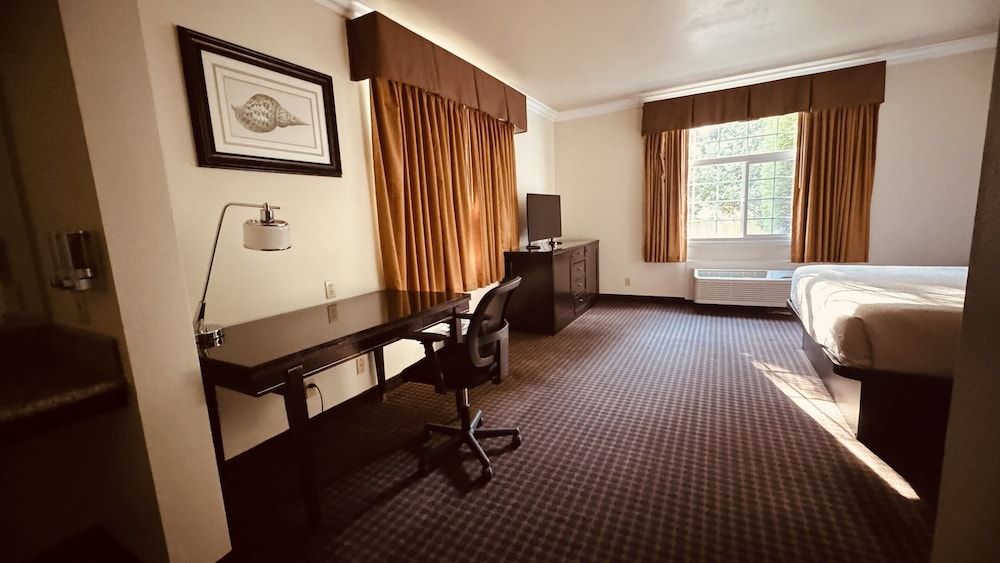 The Miramar Inn and Suites 23/50