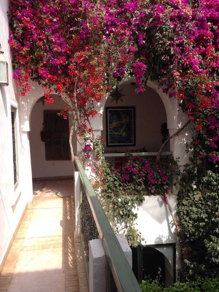 Riad Timila 43/50
