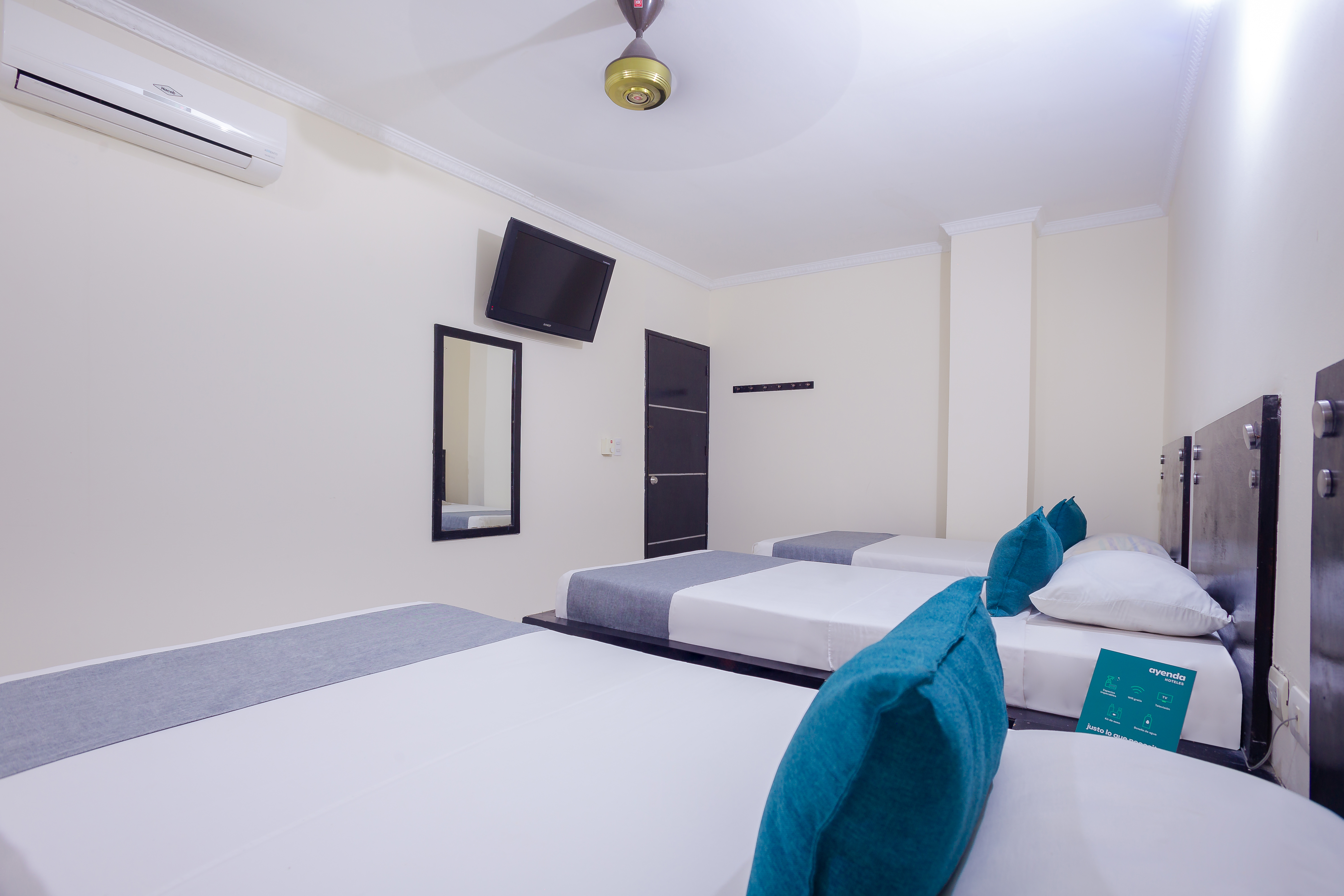 Hotel Calarca 1 22/59