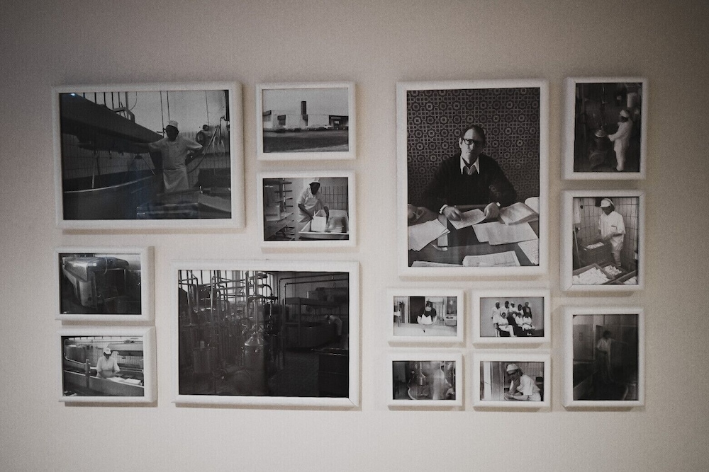 Milk Factory 22/49