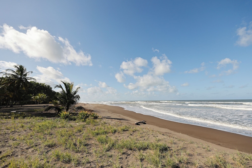Turtle Beach Lodge 42/50