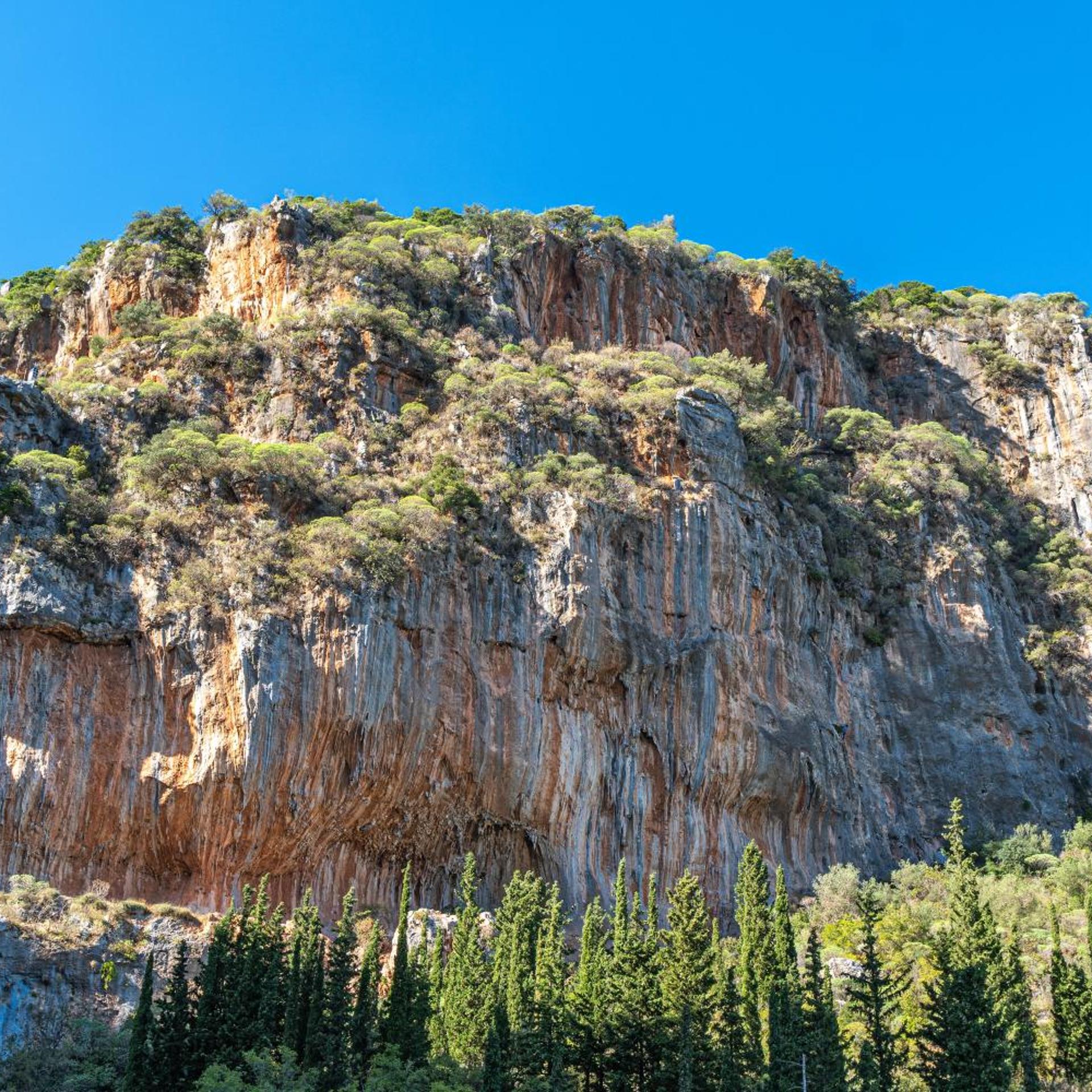Paraliako Hotel 46/50