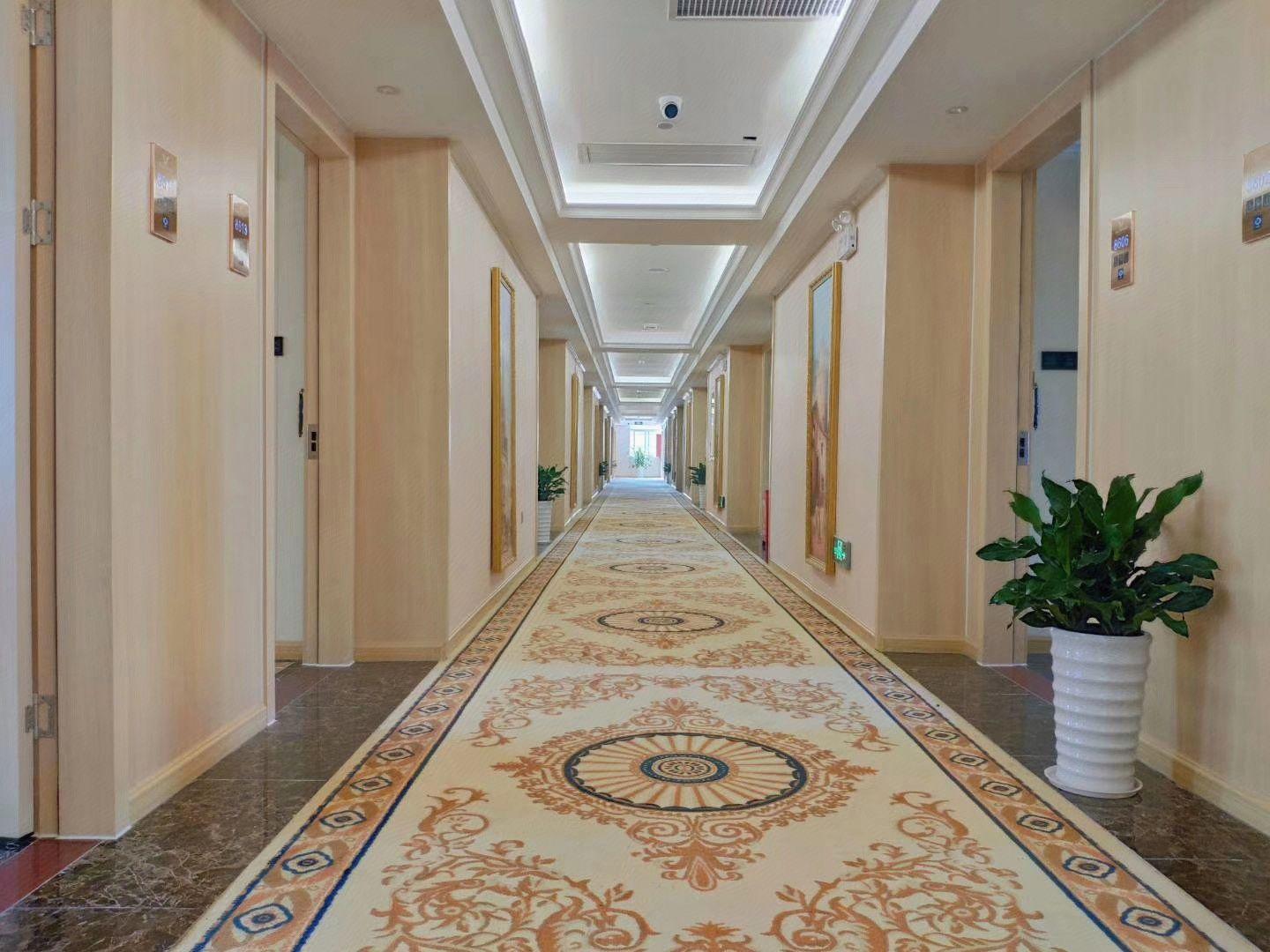 Vienna Classic Hotel (Shenzhen Pingshan Bihu) 21/40