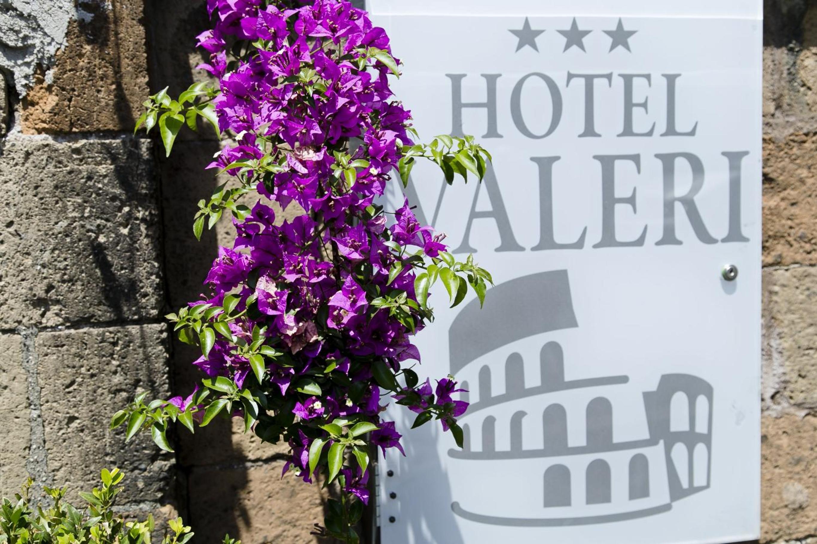 Hotel Valeri 2/50
