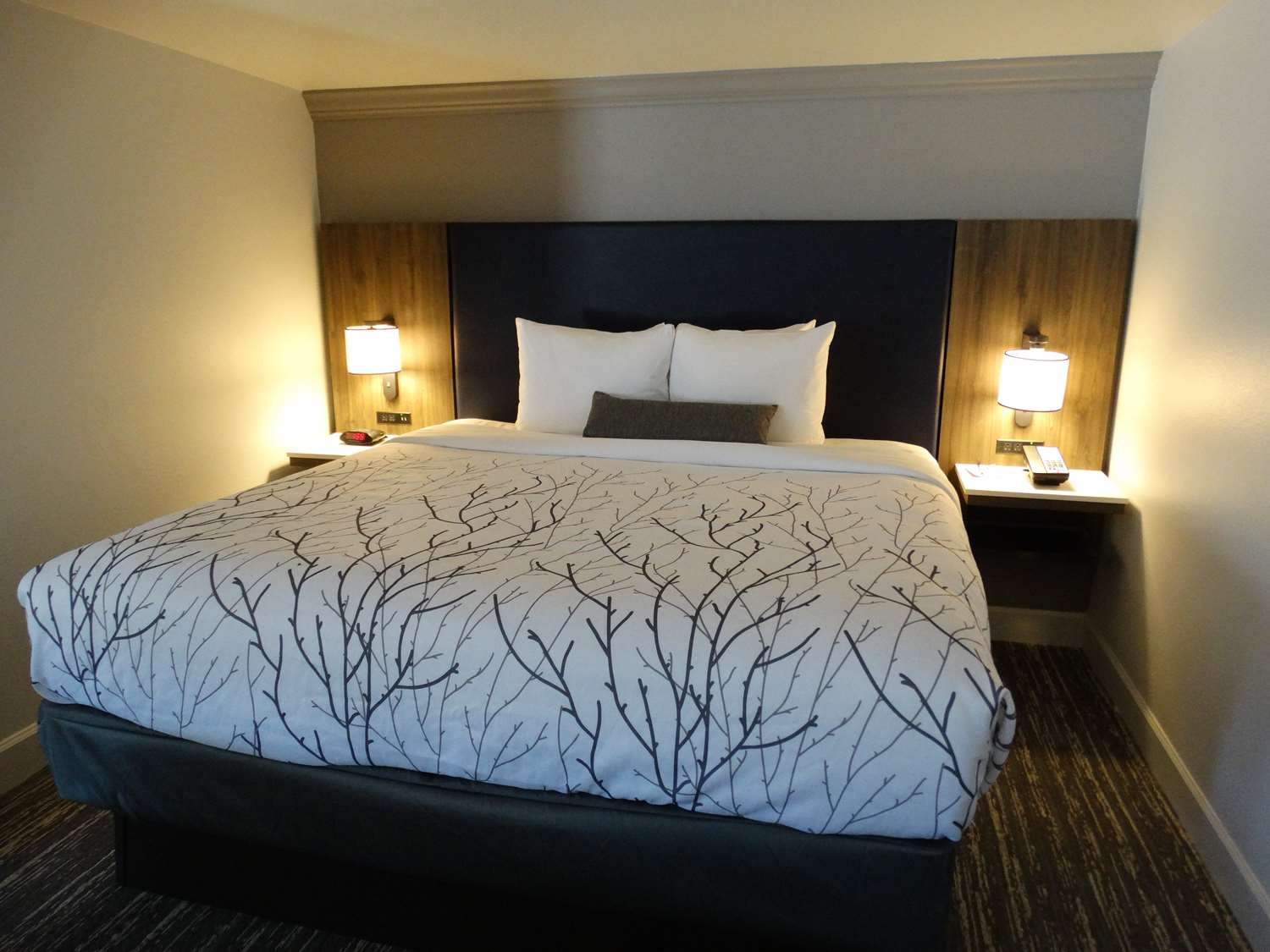Suite, King Bed, Sofa, Jetted Tub, Patio, Kitchenette