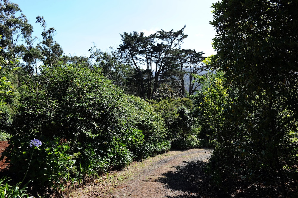 surroundings