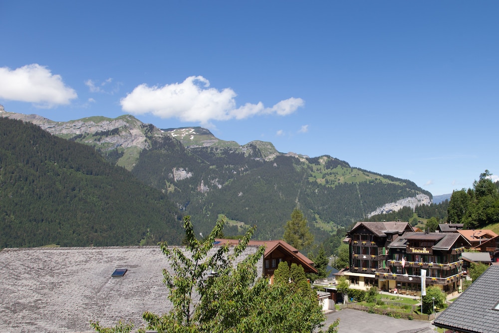 Hotel Edelweiss 56/60