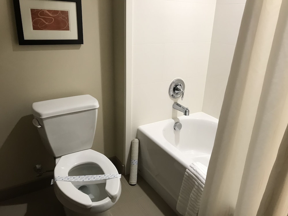 Comfort Suites Hartville-North Canton 19/43
