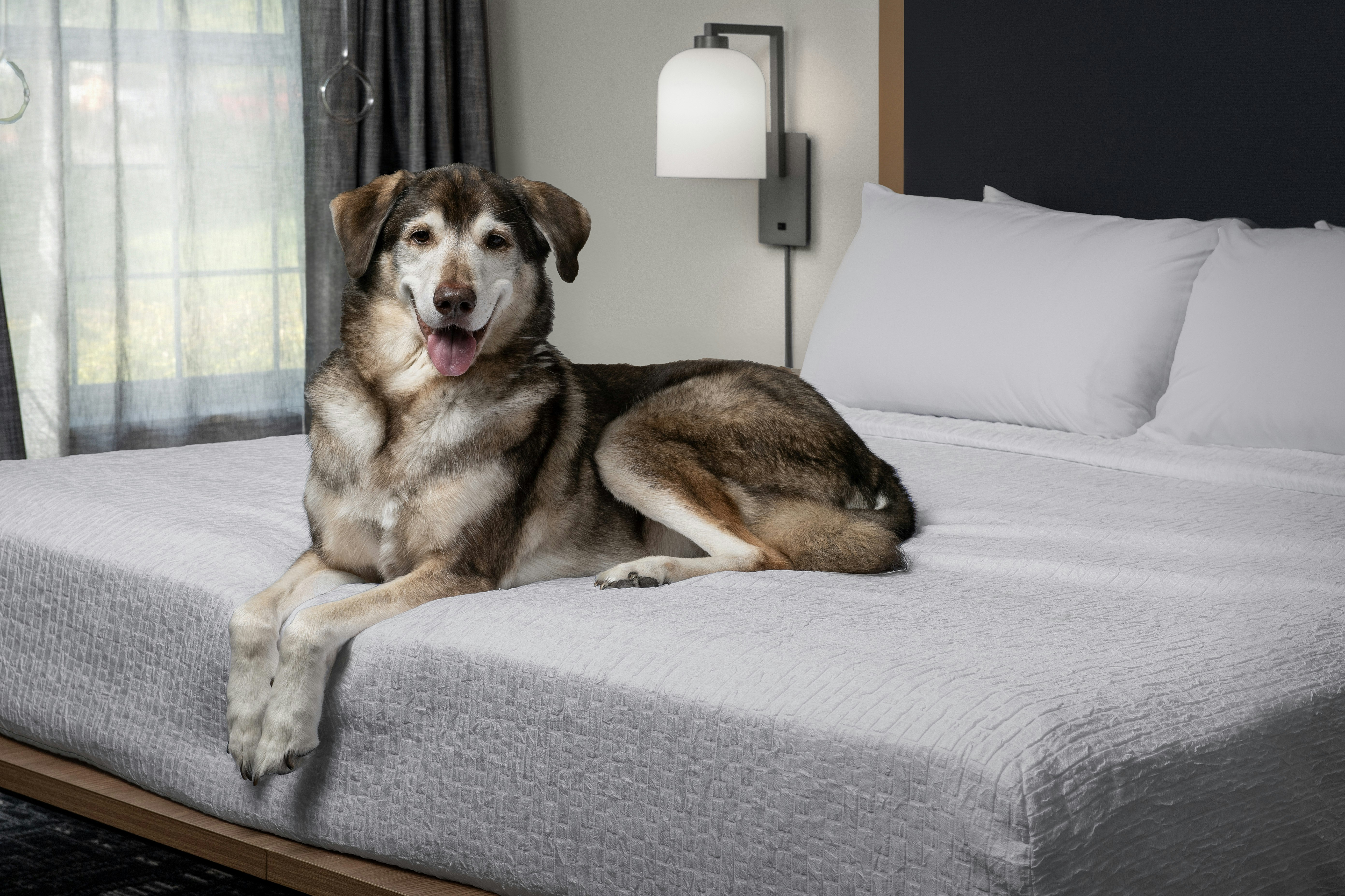 Homewood Suites by Hilton Vancouver-Portland 7/22