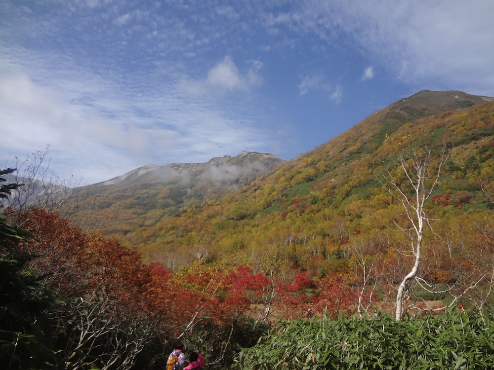 Pension Alps Hakuba 15/17