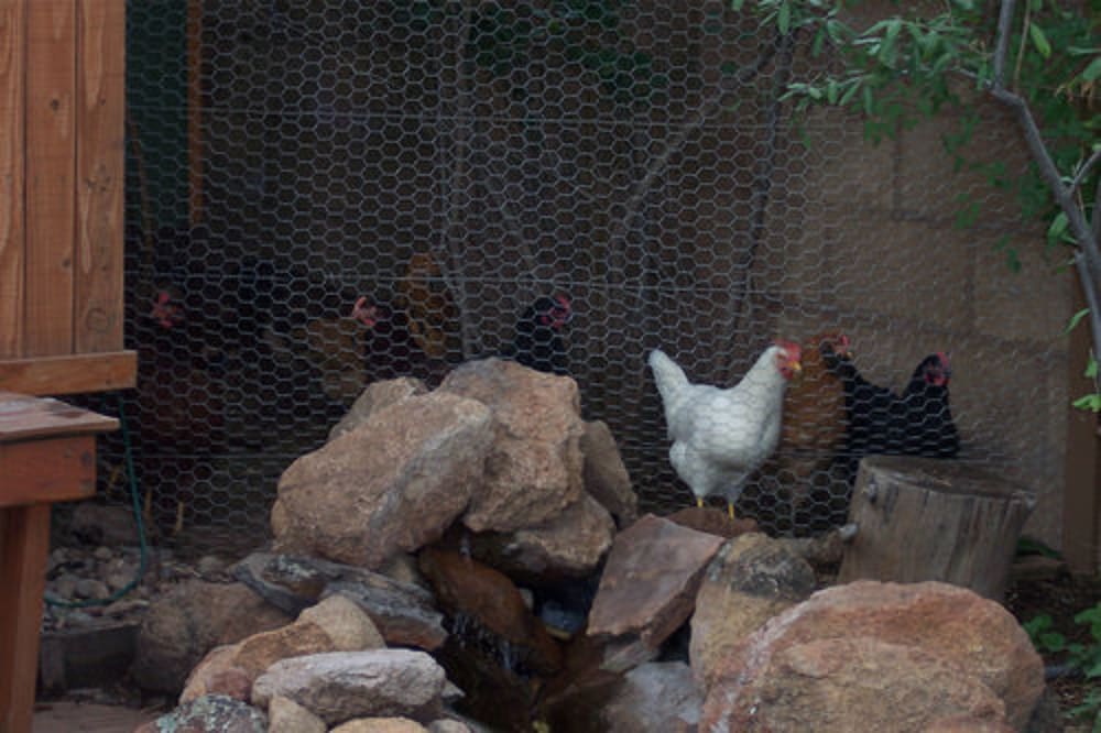 Elden Trails Bed And Breakfast 8/21