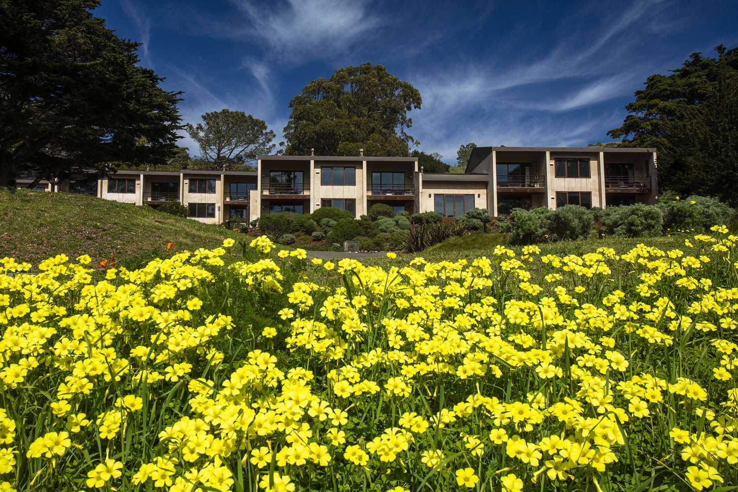 Cavallo Point 41/41