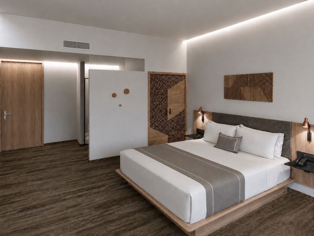 City Express Plus by Marriott San Luis Potosi 16/48