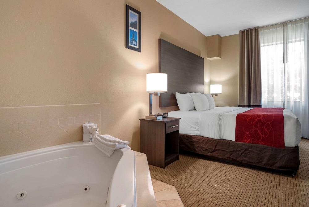 Comfort Suites Mobile West Tillmans Corner 40/40