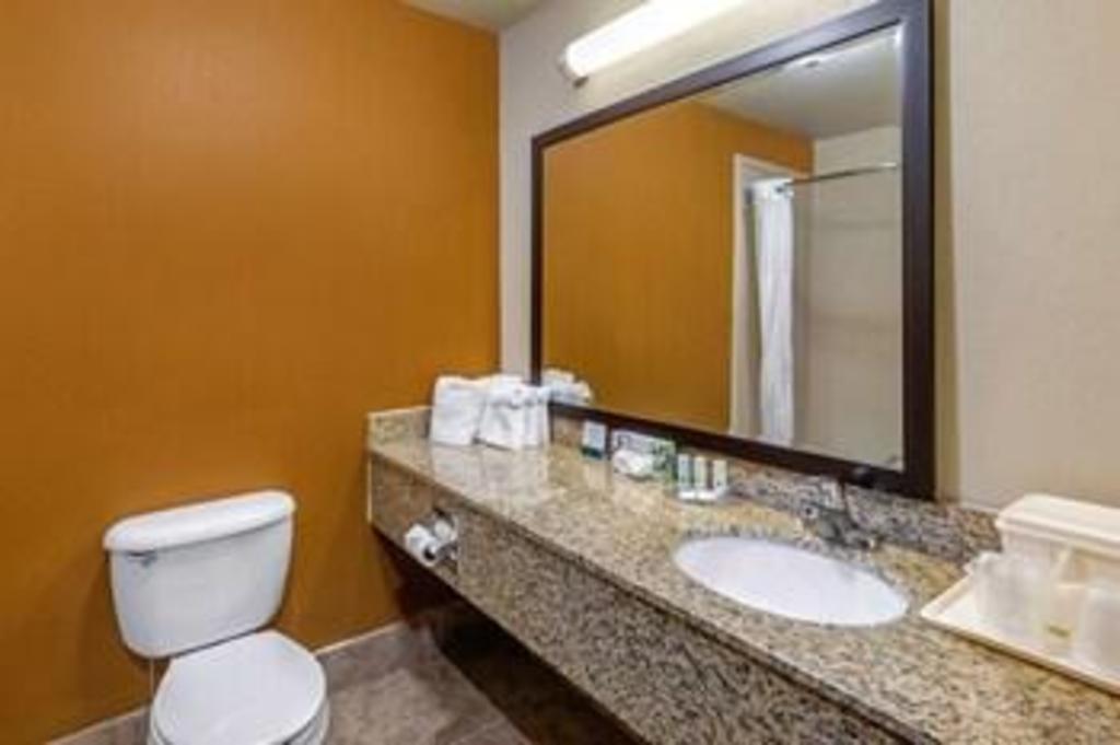 جناح بغرفة نوم واحدة، Quality Suites Addison-Dallas 7/7