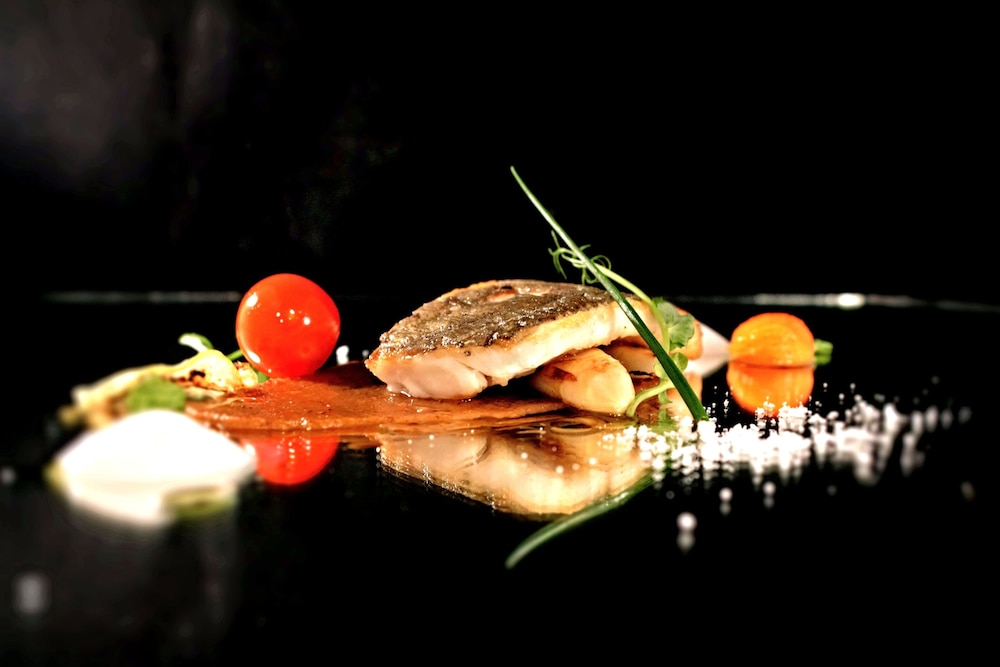 Gourmet Hotel Villa Patriot 48/72