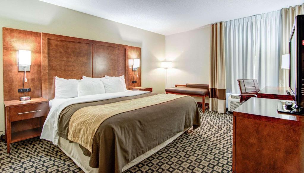 Efficiency, Suite, King Bed