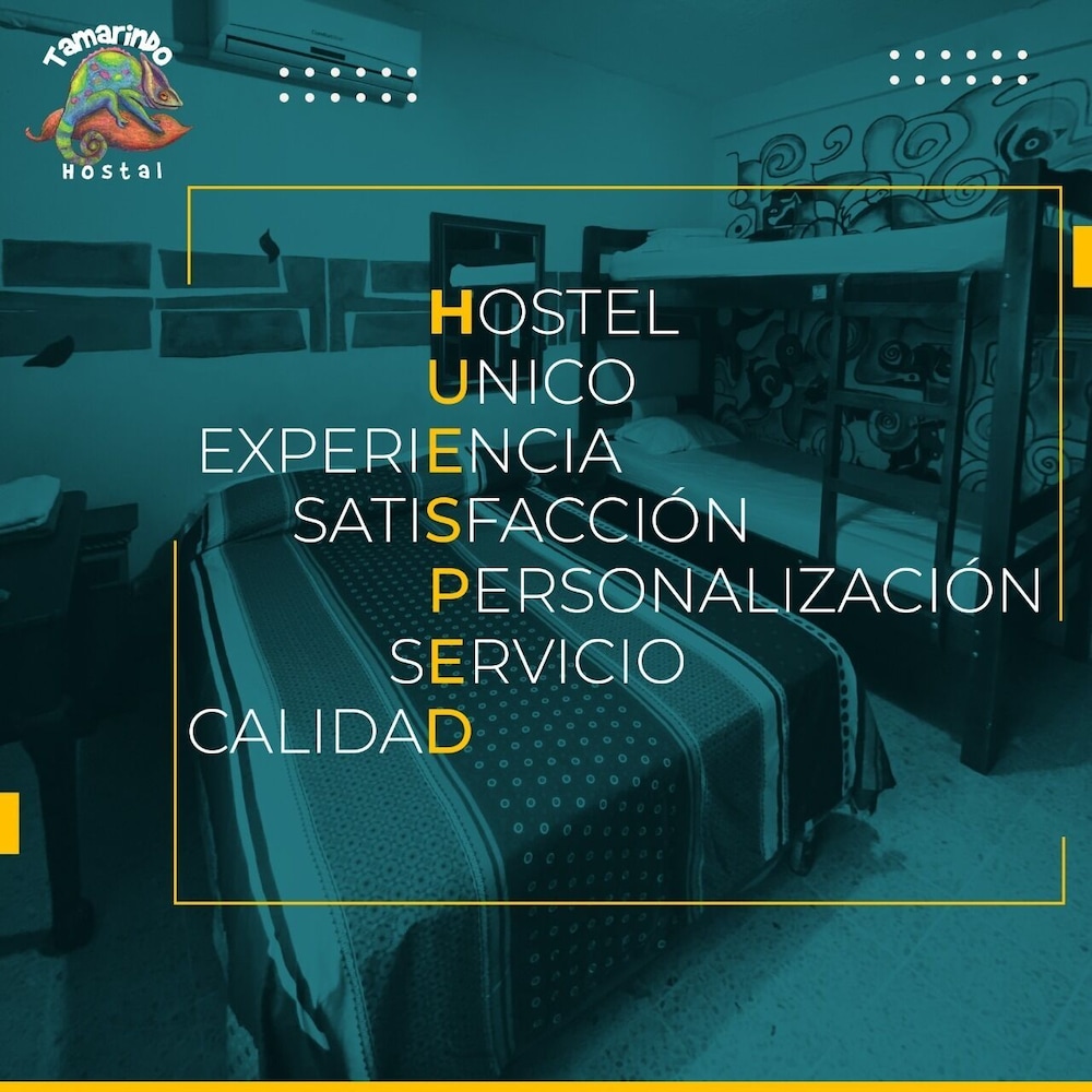 Tamarindo hostel 1/50