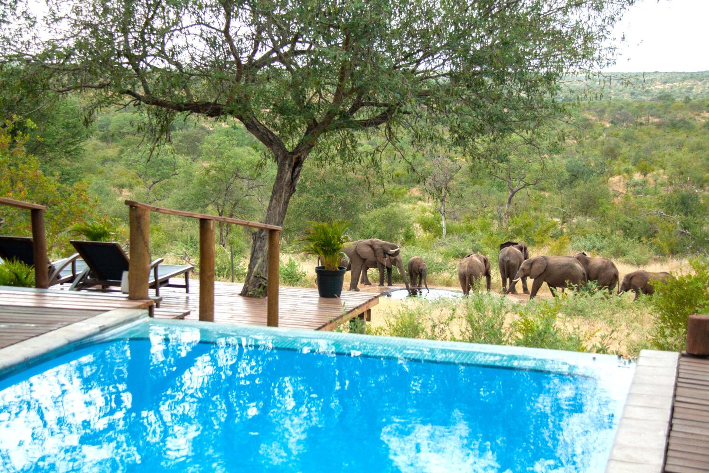 Casart Game Lodge 64/72