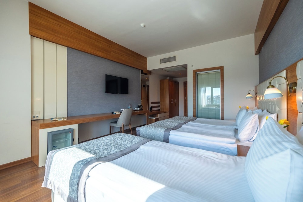 Parion Hotel 19/67