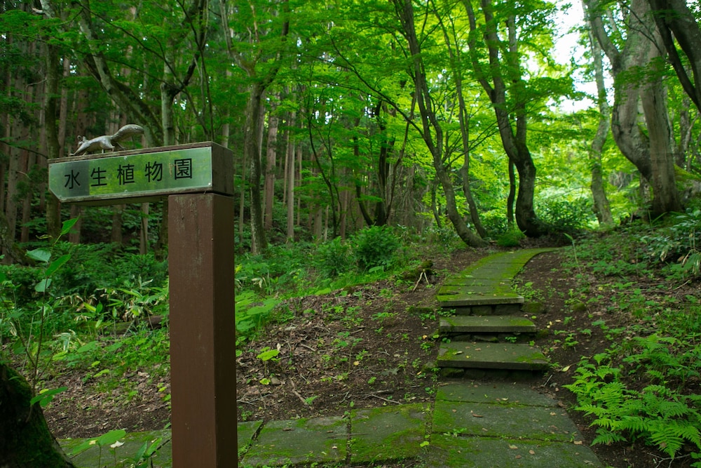Inawashiro Shikinosato 94/100