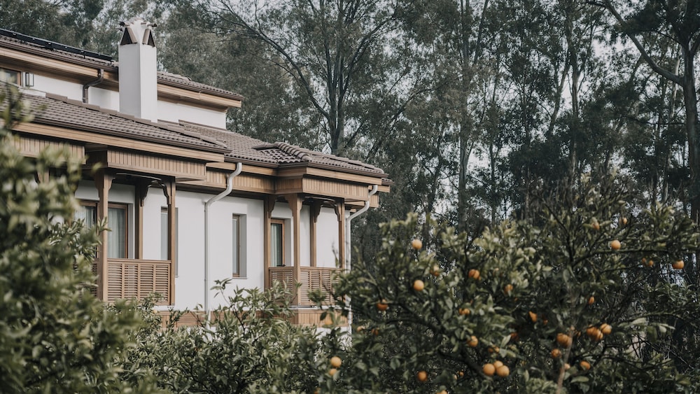 Baleze Boutique Hotel 2/50