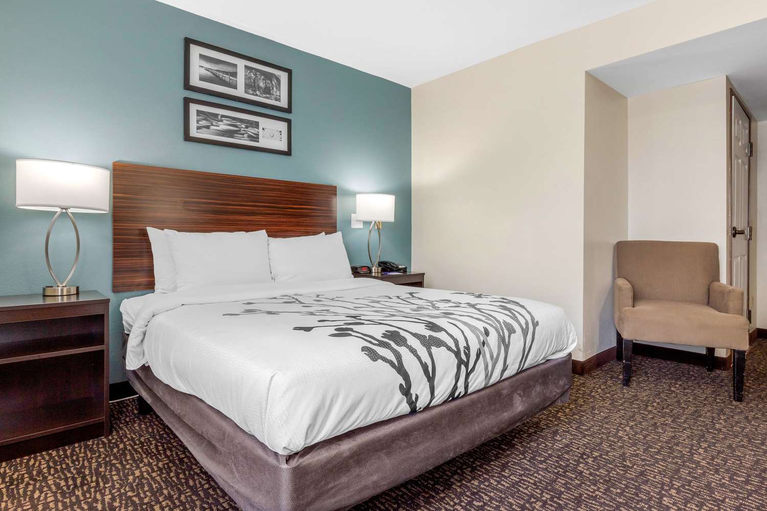 Sleep Inn & Suites Johnson City 13/31