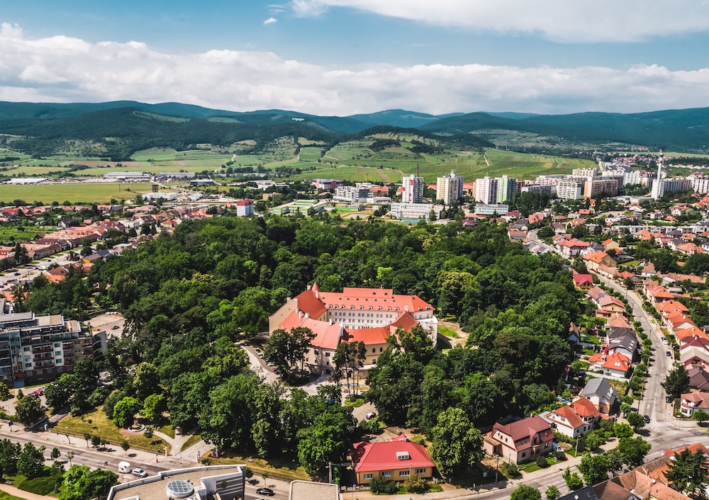Palace Art Hotel Pezinok 39/50