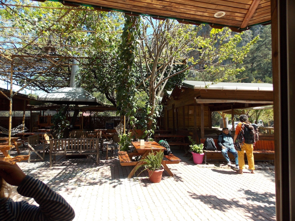 Olympos Orange 12/50