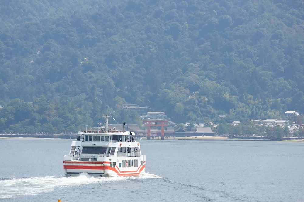 Miyajima Coral 44/50