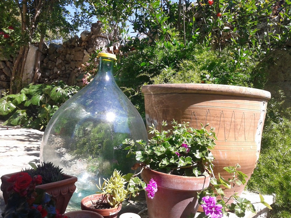 B&B Masseria Delle Rose 1760 31/33