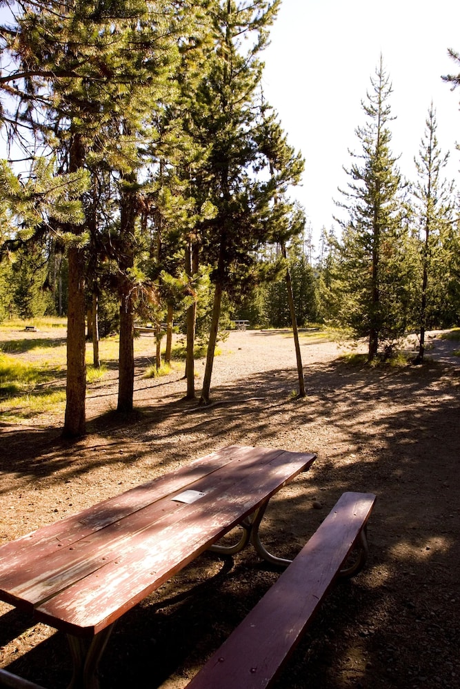 Headwaters Lodge And Cabins At Flagg Ranch 41/55