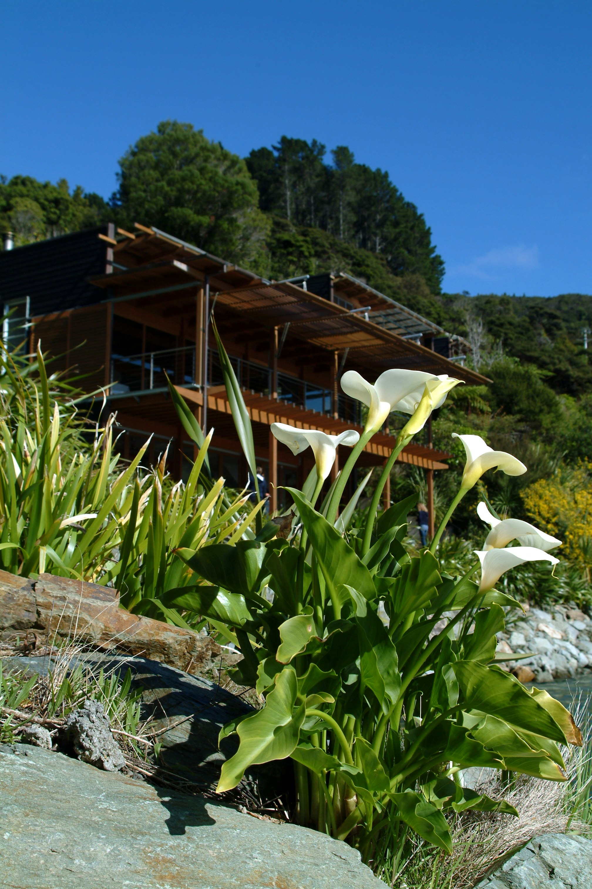 Bay of Many Coves Resort 10/57