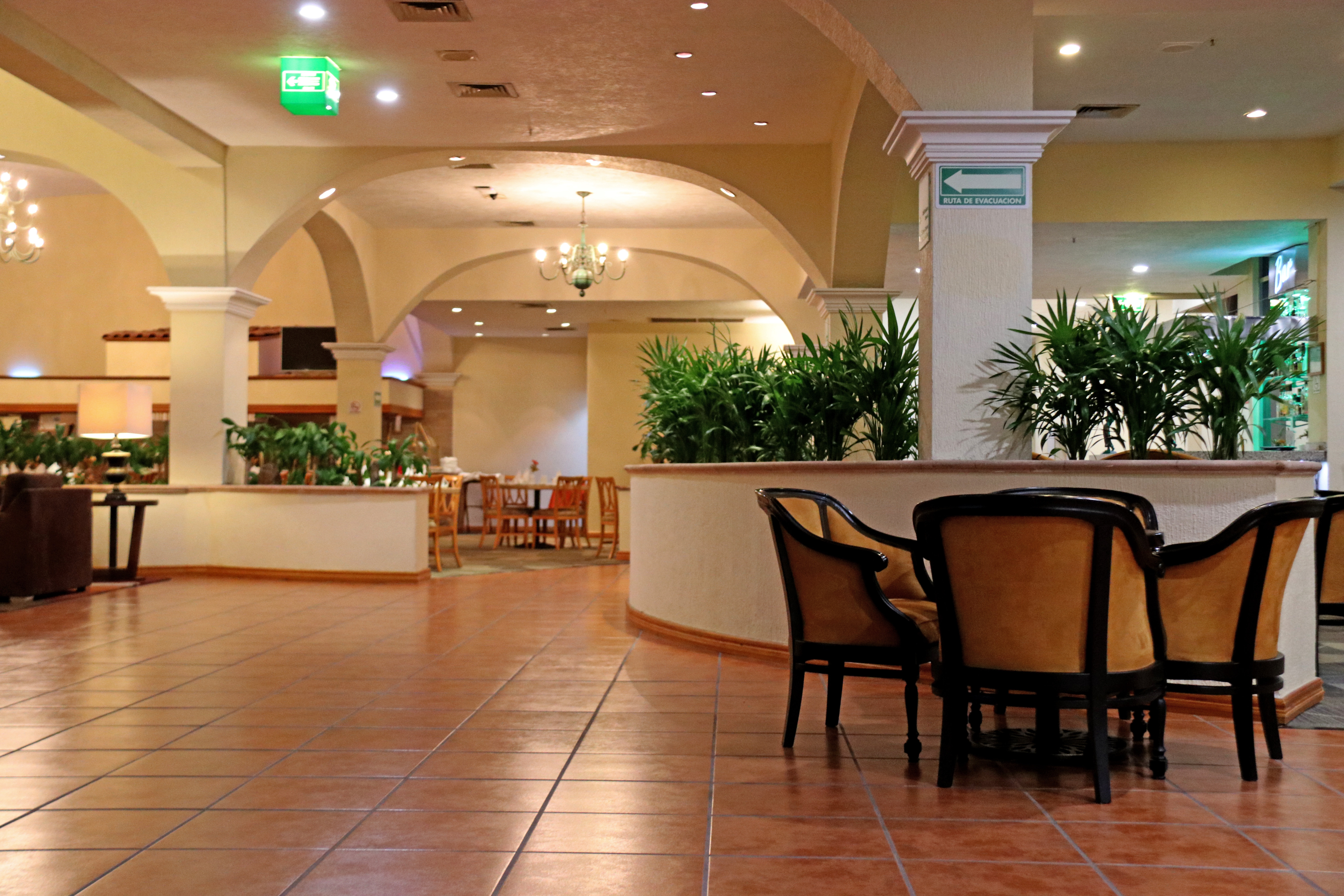 Holiday Inn La Piedad 37/55