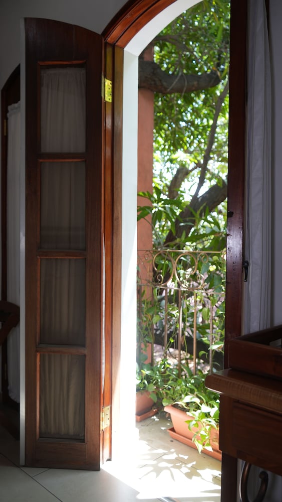 Hotel Casa del Arbol 3/50