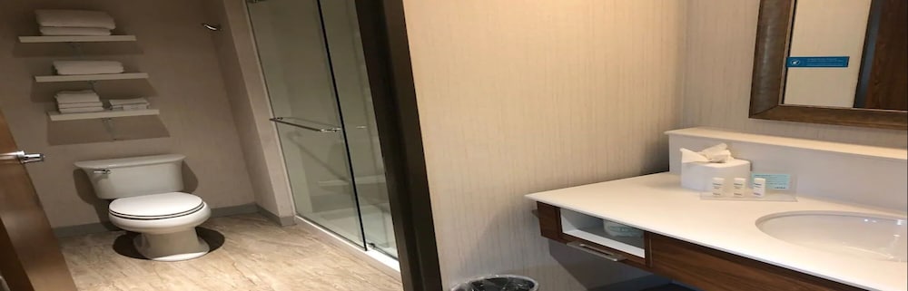 Hampton Inn And Suites Tampa Busch Gardens Area 19/46
