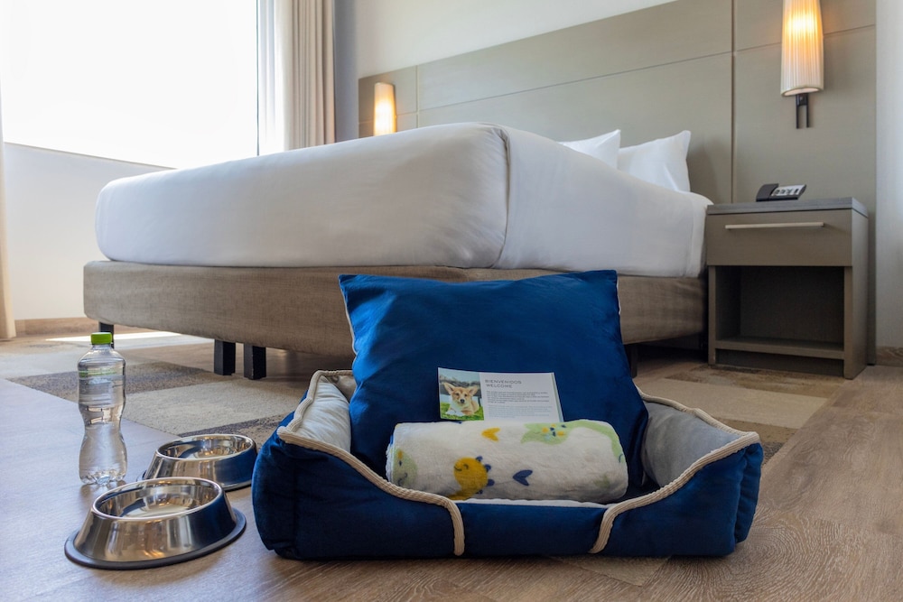 Residence Inn by Marriott Playa del Carmen 32/50
