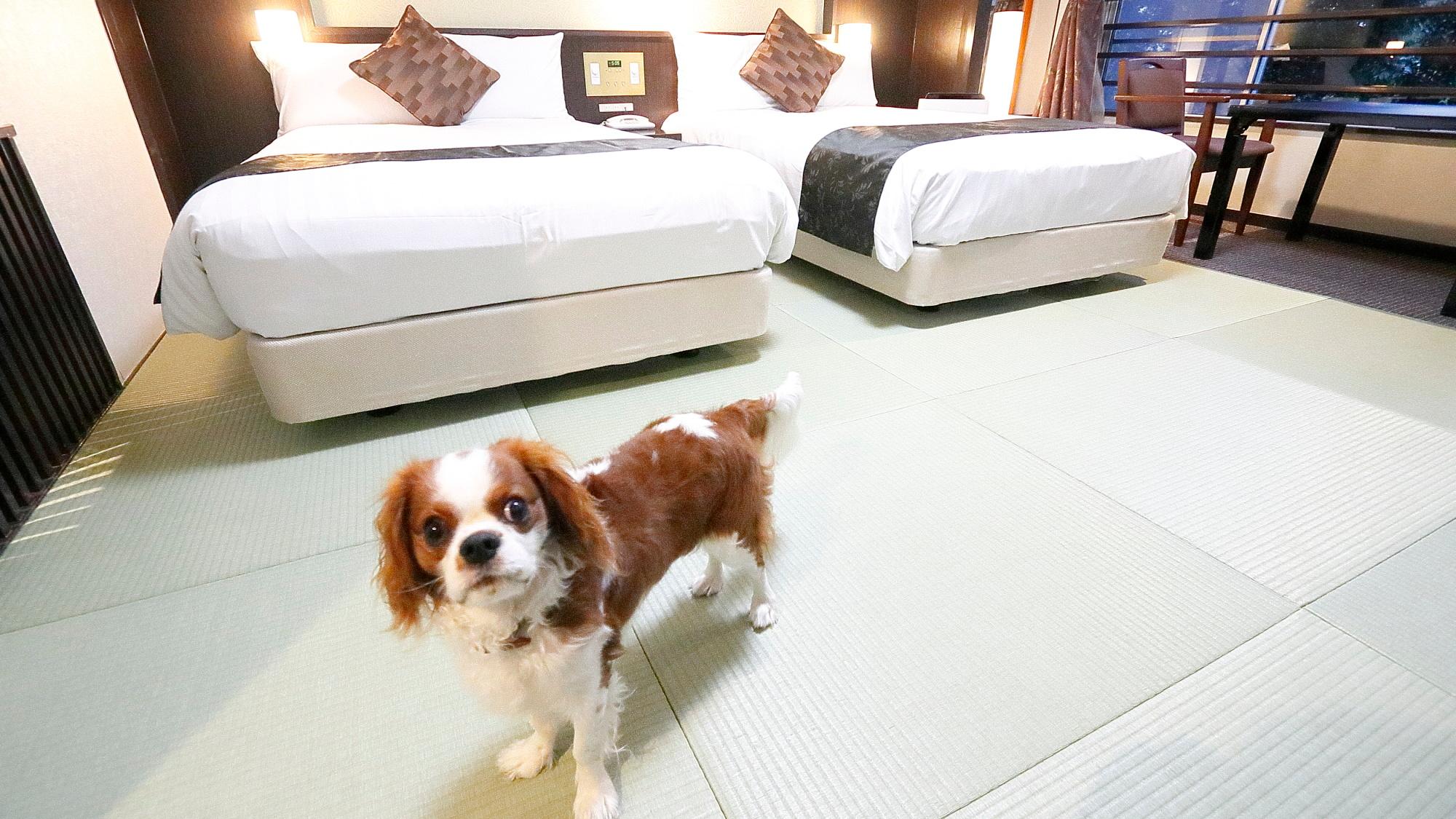 Japanese, No Bathroom, Pet Friendly