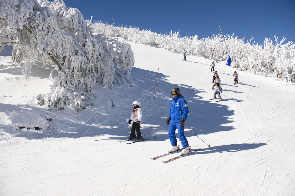 ALPINE RETREAT MT BULLER 41/50