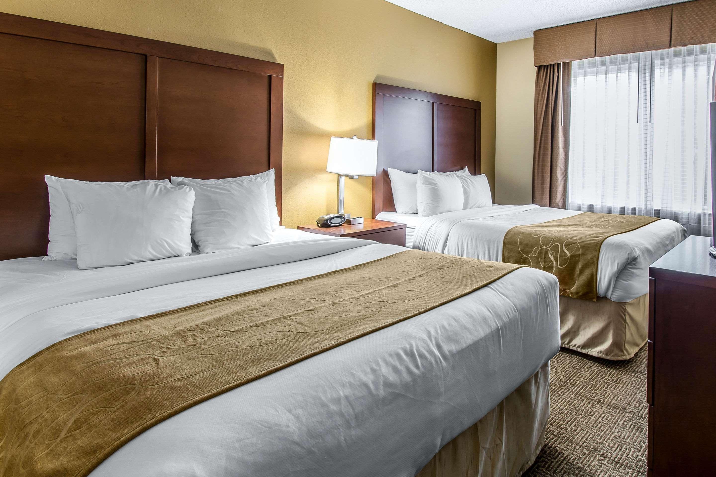 Upgrade, Suite, 1 King and 2 Queen Beds