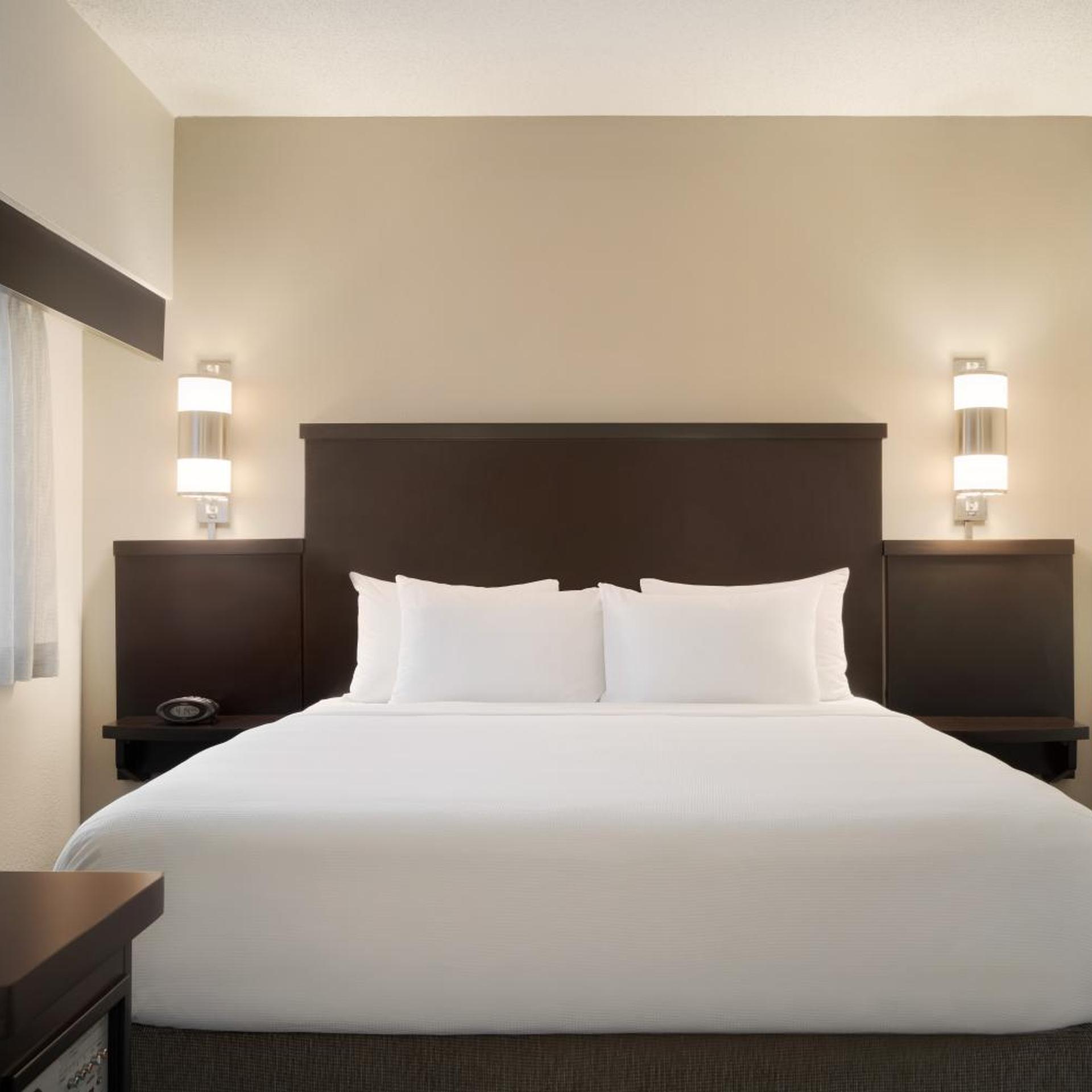 Room, King Bed, Sofa