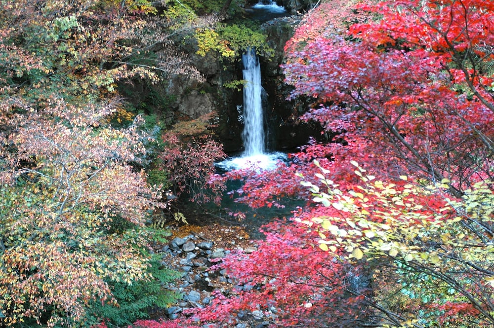 Shima Onsen Kashiwaya Ryokan 67/69