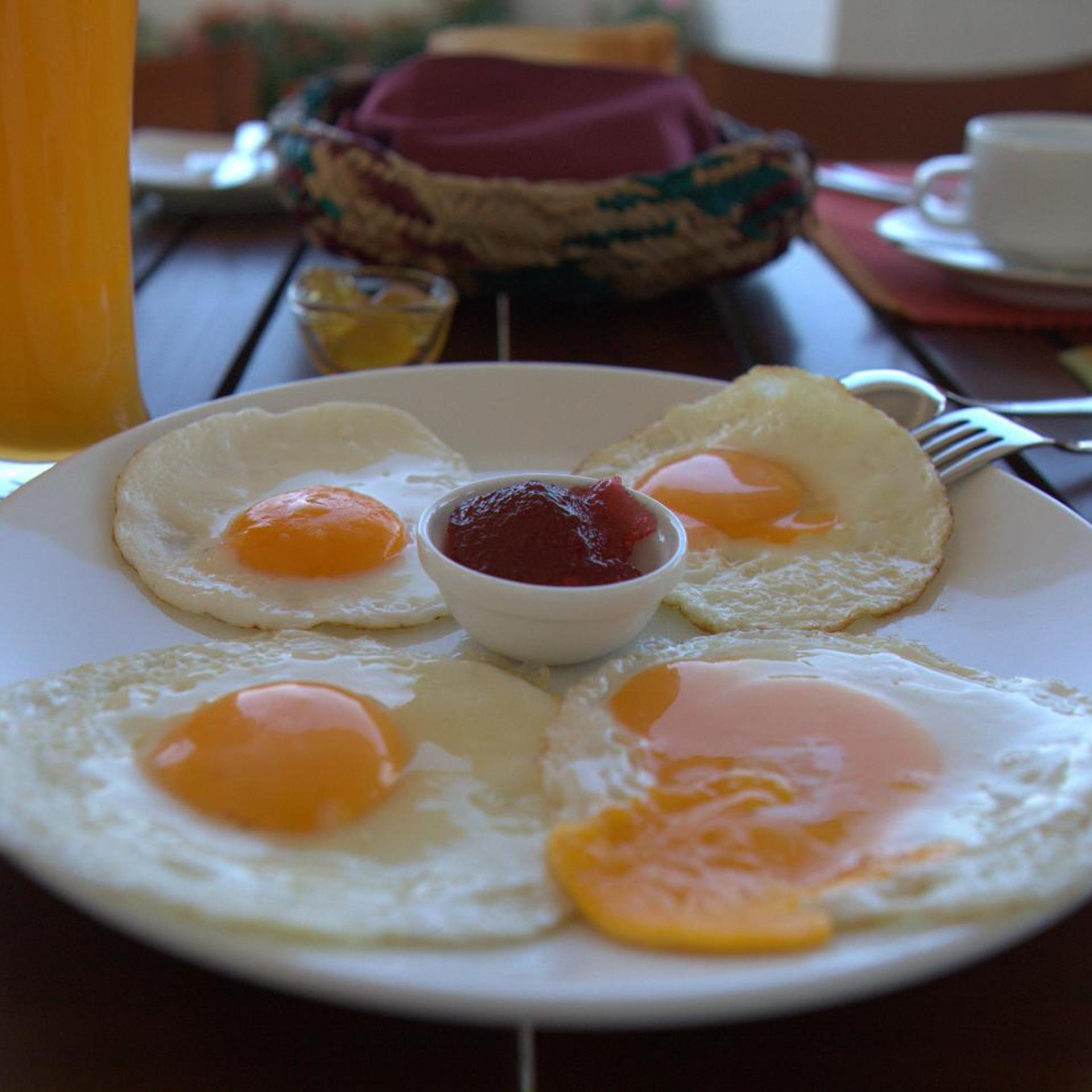Lafala Hotel and Service Apartment, Dehiwala-Mount Lavinia 79/100