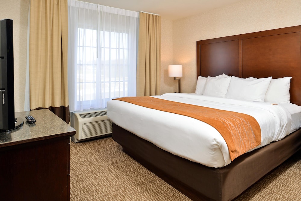 Room, King Bed, Pet Friendly, Accessible
