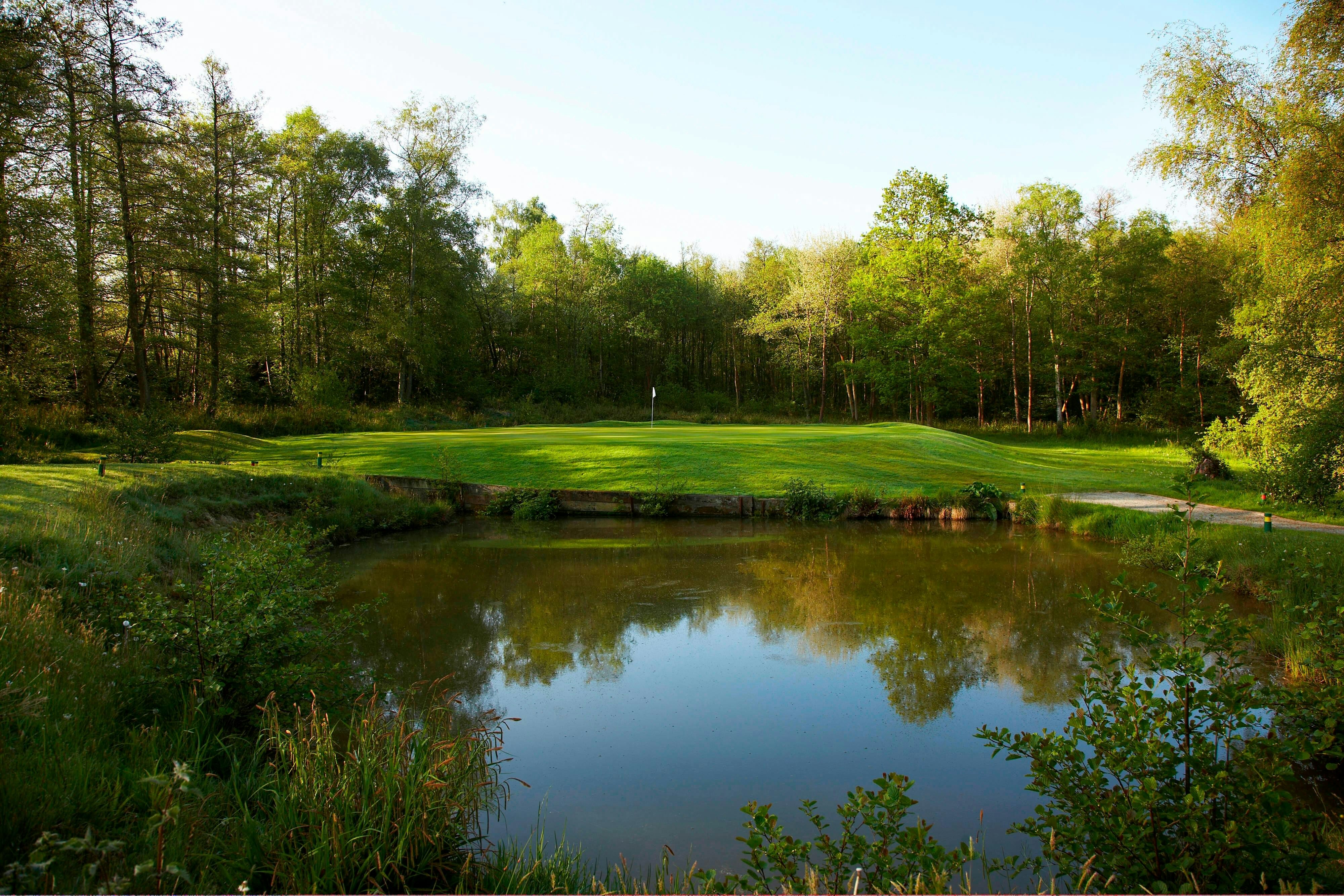 Lingfield Park Marriott Hotel Country Club 13/16